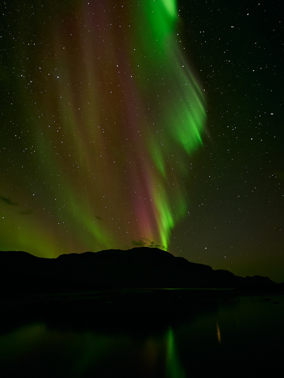 Polarlichter über herbstlicher Landschaft in Schwedisch Lappland